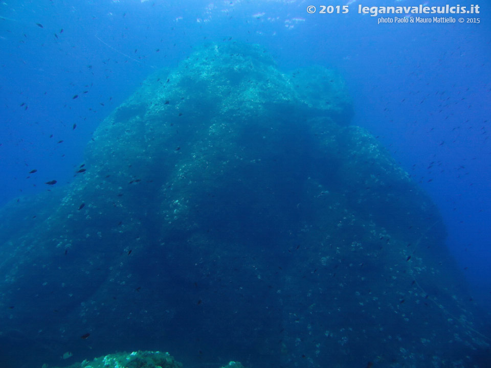 Porto Pino foto subacquee - 2015 - Cappello della secca di Cala Piombo