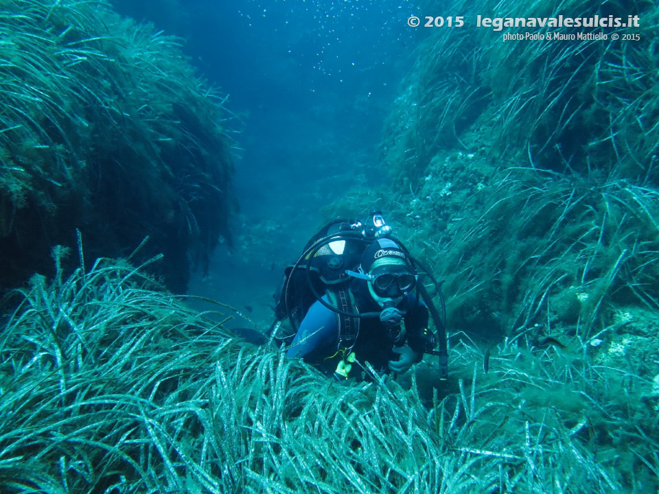 Porto Pino foto subacquee - 2015 - Sub in mezzo alla posidonia