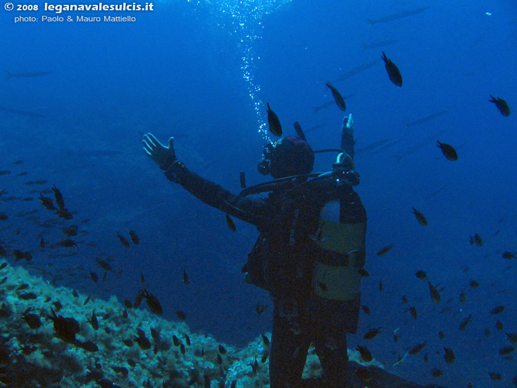 Porto Pino foto subacquee - 2008 - Secca di Cala Piombo: Mauro tenta (inutilmente) di chiamare a sé i barracuda di passaggio
