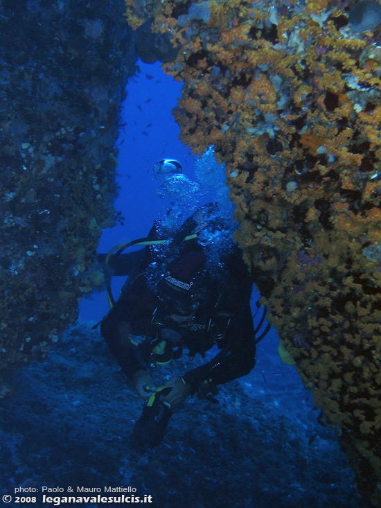 Porto Pino foto subacquee - 2008 - Secca di Cala Piombo: Mauro attraversa uno dei tanti ampli cunicoli, ricoperto di margherite di mare (Parazoanthus axinellae)