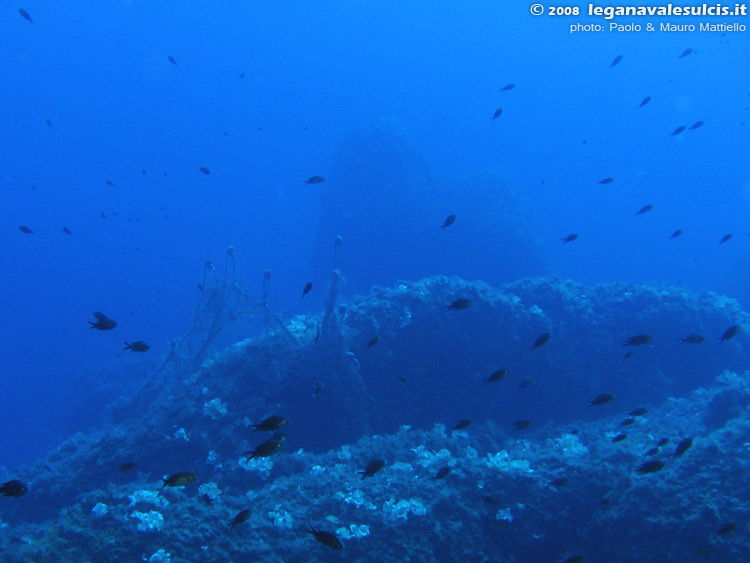 Porto Pino foto subacquee - 2008 - Presso la secca di Cala Piombo: alcune delle tante reti incagliate e abbandonate da anni, inutile trappola mortale per sfortunati pesci e crostacei