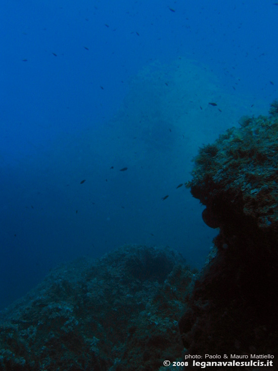 Porto Pino foto subacquee - 2008 - La gigantesca parete di Capo Teulada, eccezionalmente visibile da sotto grazie alle condizioni di bonaccia assoluta