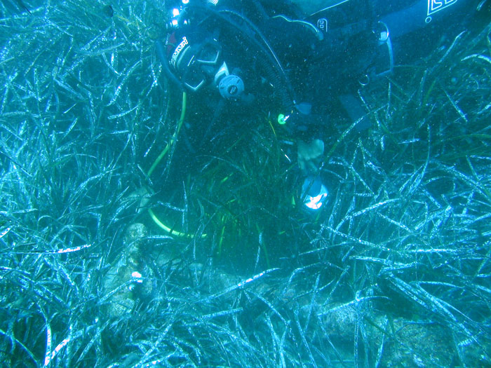 Porto Pino foto subacquee - 2007 - La stessa áncora, paragonata al subacqueo
