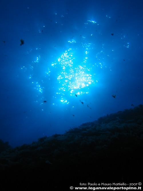 Porto Pino foto subacquee - 2007 - Sole controluce da -30m