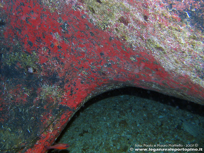 Porto Pino foto subacquee - 2007 - Relitto del Samudra - poppa