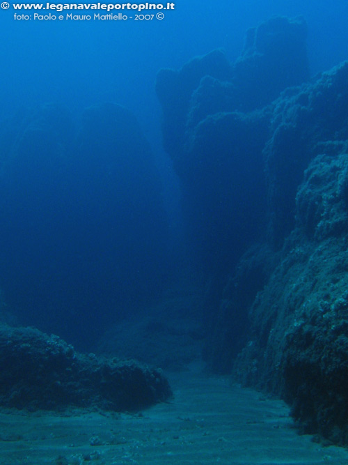 Porto Pino foto subacquee - 2007 - Canyon presso la parete della punta di Cala Piombo
