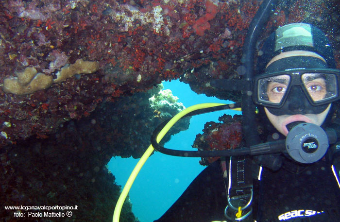 Porto Pino foto subacquee - 2005 - Parete incrostata del briozoo rosso Falso Corallo (Myriapora truncata)