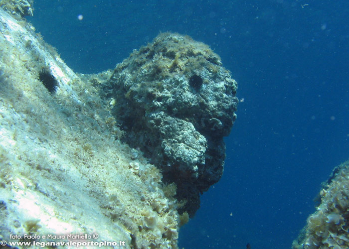 Porto Pino foto subacquee - 2006 - Presso Punta Menga, curiosa roccia a foggia di testa di troll..