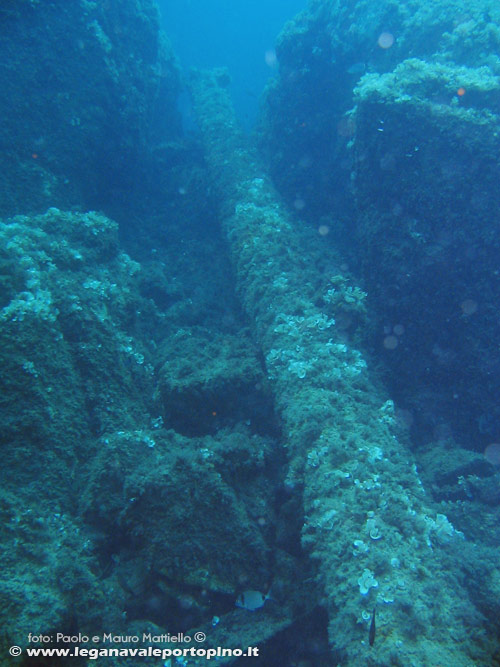 Porto Pino foto subacquee - 2006 - Albero del relitto della nave da pesca presso la punta di C.Piombo
