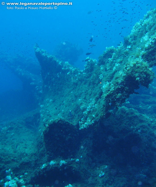 Porto Pino foto subacquee - 2006 - Relitto nave da pesca presso la punta di Cala Piombo