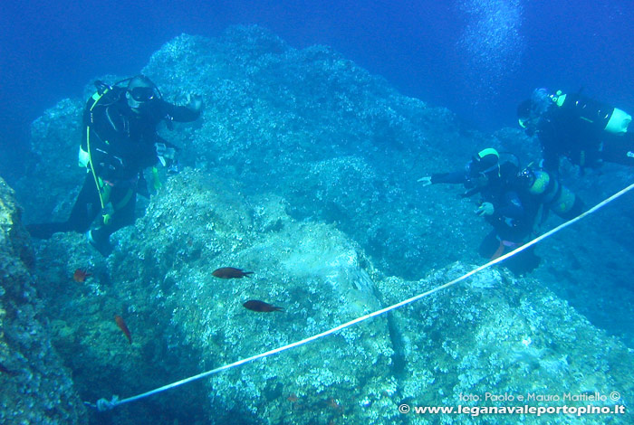 Porto Pino foto subacquee - 2006 - Amici del centro sub Porto Pino, sul cappello della secca di C.Piombo