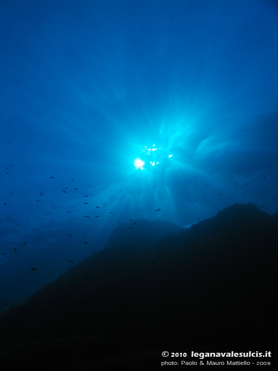 Porto Pino foto subacquee - 2009 - Cappello della secca di Cala Piombo, in spettacolare controluce, dal fondo