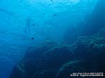 Porto Pino foto subacquee - 2012 - Bagnante in superficie
