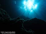 Porto Pino foto subacquee - 2012 - Controluce a C.Teulada