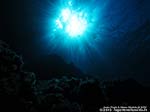 Porto Pino foto subacquee - 2012 - Il sole dal fondo
