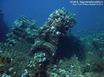 Porto Pino foto subacquee - 2012 - Motore del relitto della punta di Cala Piombo