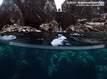 Porto Pino foto subacquee - 2014 - Mezz'acqua presso Cala Piombo