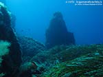 Porto Pino foto subacquee - 2014 - Posidonia e monolito isolato presso la punta di Cala Piombo