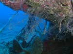Porto Pino foto subacquee - 2008 - Punta delle Canne, relitto della barca a vela Samudra (naufragata tragicamente nell'inverno 2006). -22 metri
