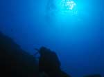 Porto Pino foto subacquee - 2008 - Controluce presso la secca di Cala Piombo
