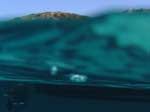 Porto Pino foto subacquee - 2008 - C.Aligusta - Foto a met&agrave; tra dentro e fuori...