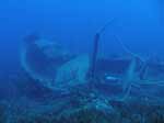 Porto Pino foto subacquee - 2007 - Punta delle Canne, relitto della barca a vela Samudra (naufragata tragicamente nell'inverno 2006). -22 metri