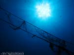 Porto Pino foto subacquee - 2013 - Secca di C.Piombo: reti controluce