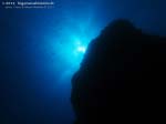 Porto Pino foto subacquee - 2013 - Secca di Cala Piombo: controluce profondo