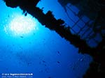 Porto Pino foto subacquee - 2009 - Relitto nave da carico "Dino", P.Zafferano, -23 m