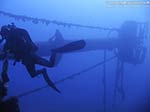 Porto Pino foto subacquee - 2009 - Albero (rovesciato) del relitto della nave da carico "Dino", P.Zafferano, -23 m, con subacqueo
