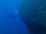 Porto Pino foto subacquee - 2009 - P.Zafferano, la fiancata rovesciata del relitto "Dino"