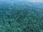 Porto Pino - Agosto 2014,Cala Su Turcu, posidonia