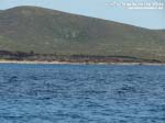 Porto Pino - Luglio 2015,stagno di Porto Pino