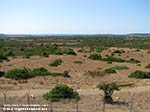 Porto Pino - 2009, dalla strada per Teulada, un pezzo del poligono militare di C.Teulada e Porto Pino all'orizzonte