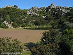 Laghetto nuragico presso il complesso di Grutti 'e acqua