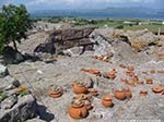 S.Antioco, tophet fenicio