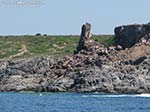 C.Sperone e P.Sciusciau - Poco prima di Cala Sapone
