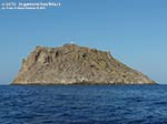 Vacca e Toro - Agosto 2014,Isola Il Toro (S.Antioco)