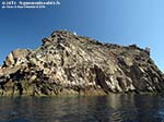 Vacca e Toro - Agosto 2014,Isola Il Toro (S.Antioco)