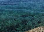 Vacca e Toro - Agosto 2014,Isola La Vacca (S.Antioco)