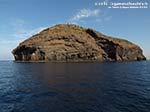 Vacca e Toro - Agosto 2014,Isola La Vacca (S.Antioco)