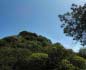 panorama 360° sferico spherical - Tratalias-Giba Nuraghe Meurras<br/>lato nord