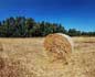 panorama 360° sferico spherical - Masainas Loc. Cannigonis, campo